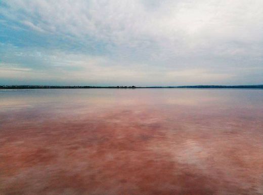 Laguna rosa Torrevieja