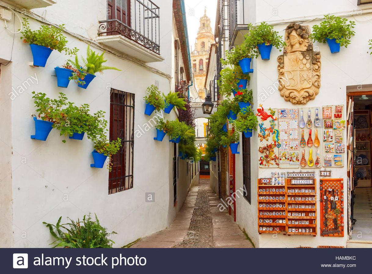 Lugar Calleja de las Flores