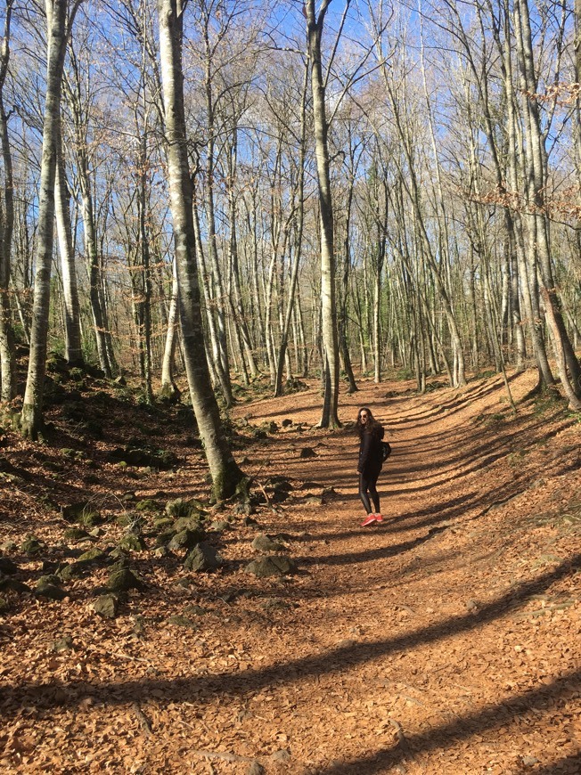 Lugar Fageda d'en Jordà