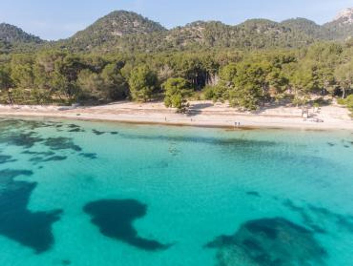 Lugar Platja de Formentor