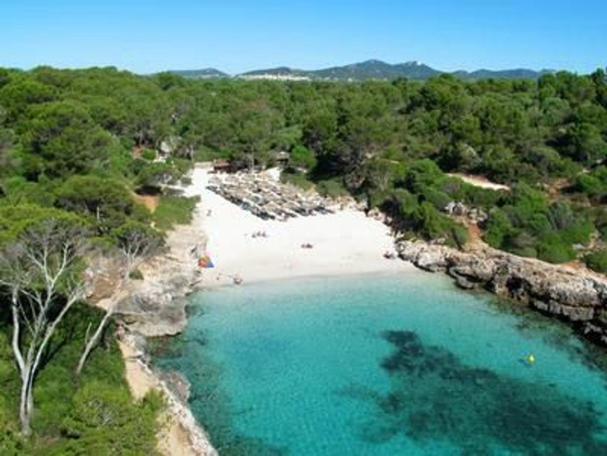 Place Cala Sa Nau