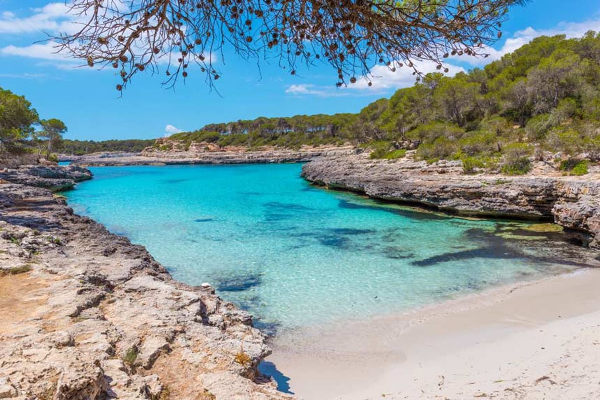 Place Cala Mondragó