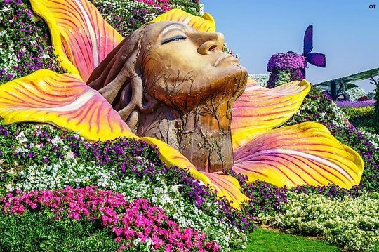 Lugar Miracle Garden