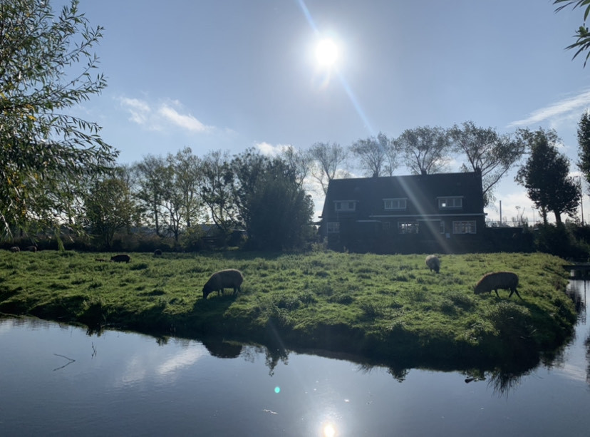 Lugar Zaanse Schans