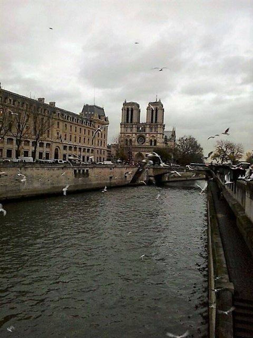 Place Río Sena