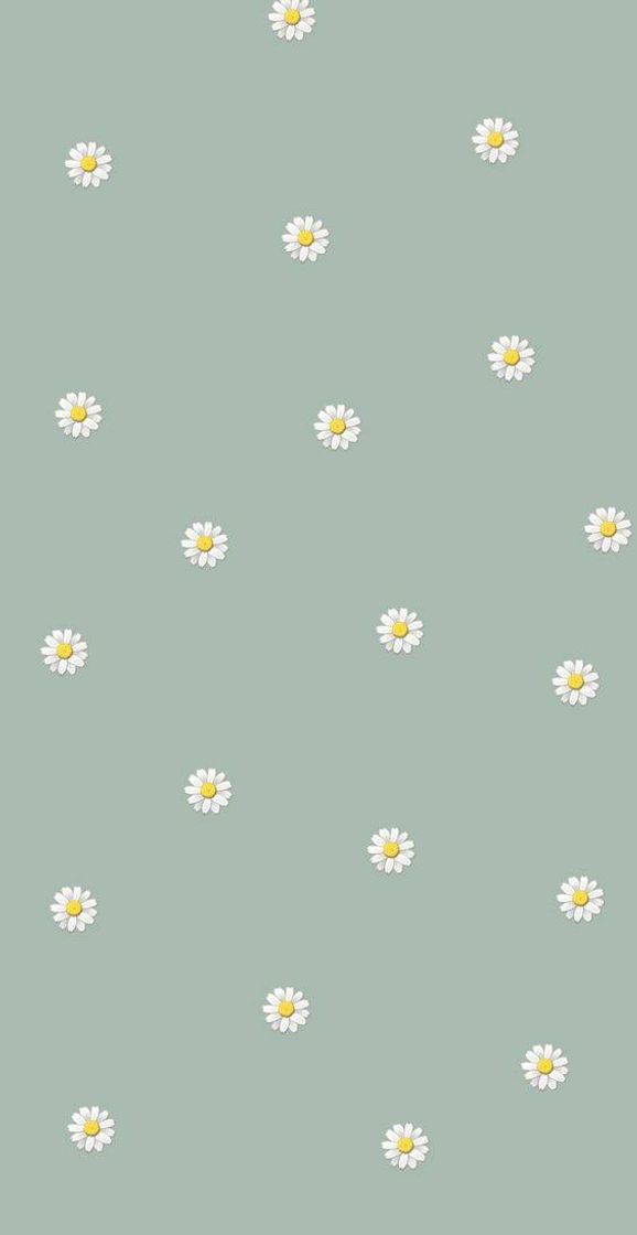 Moda Wallpaper flower🌼