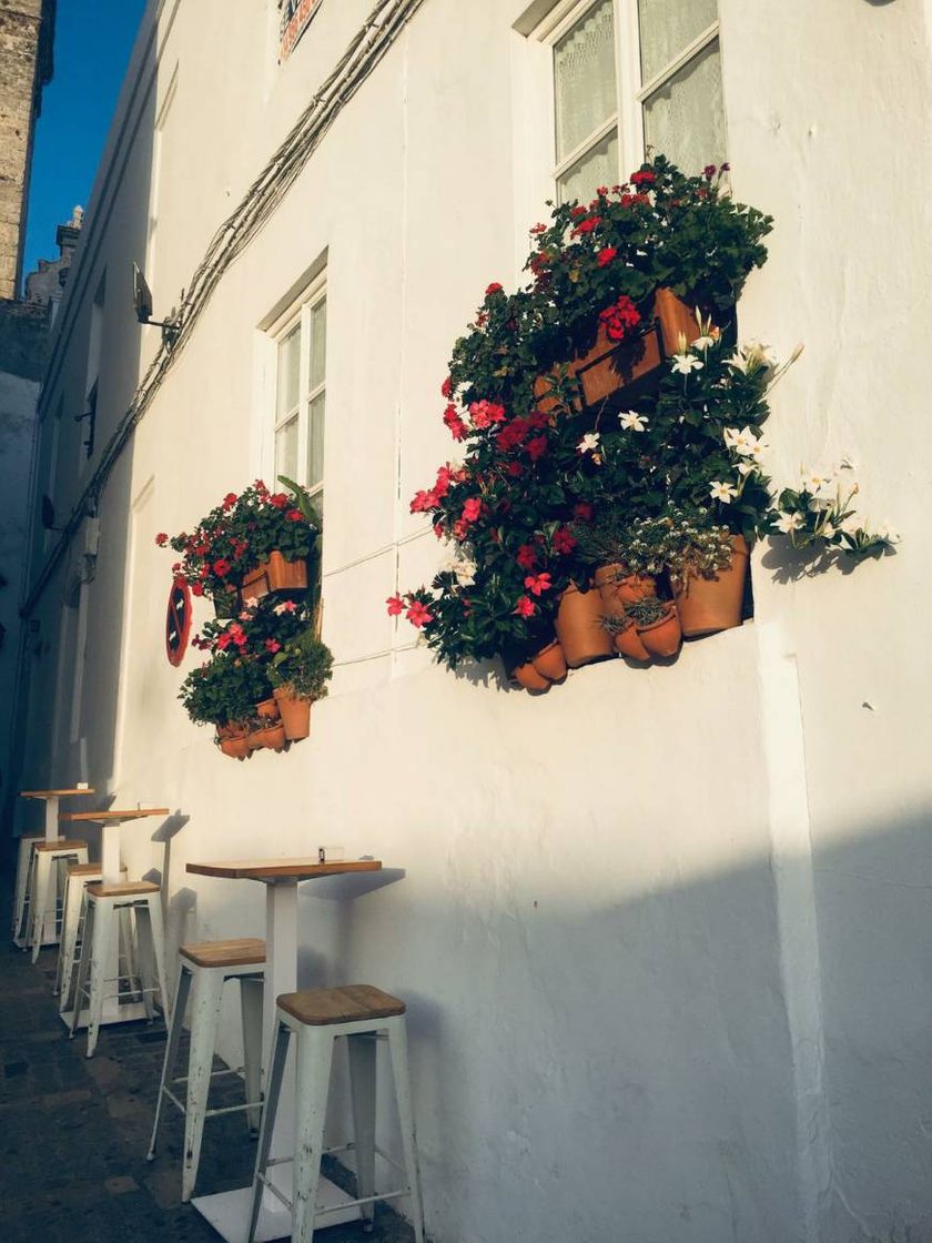 Lugar Vejer de la Frontera