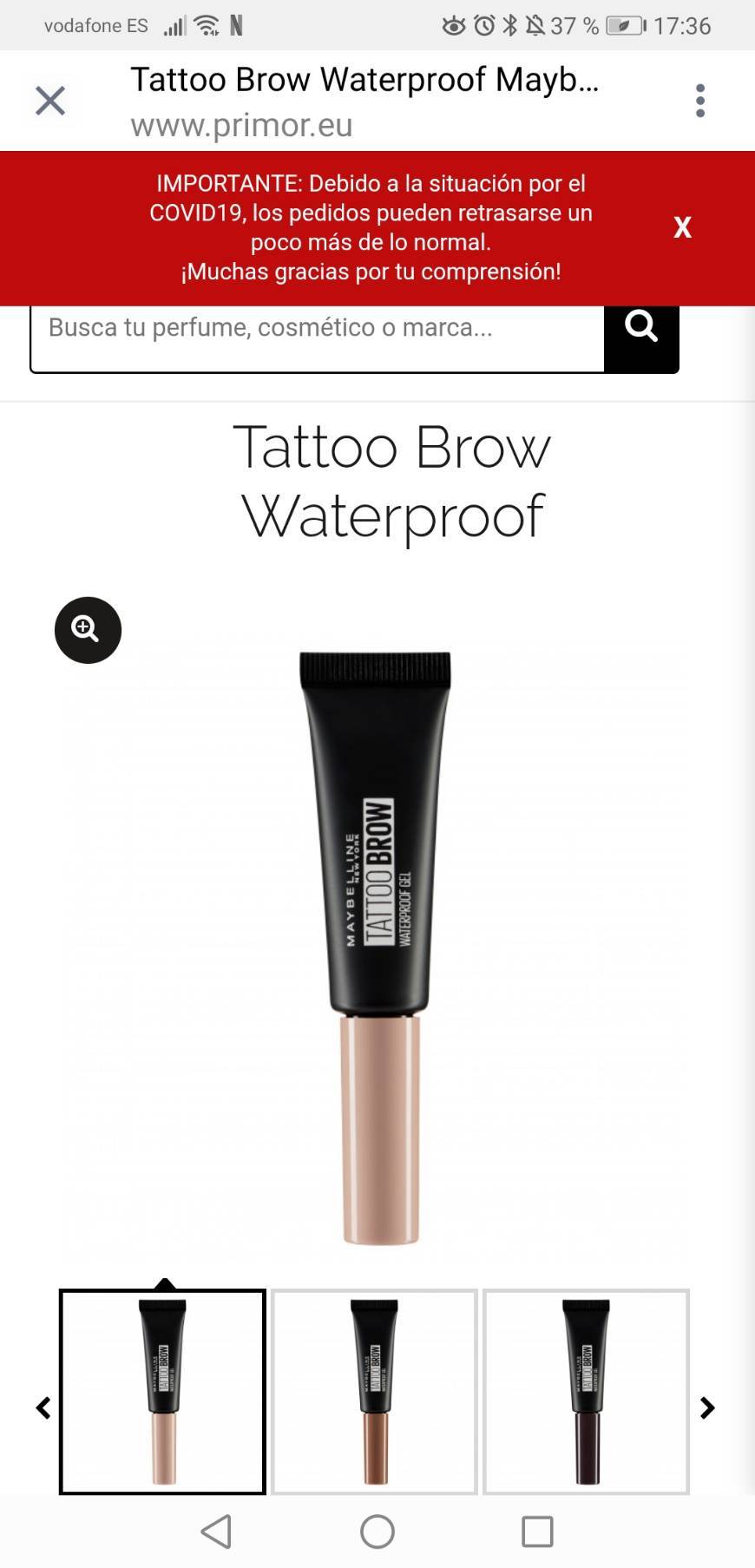 Producto Tattoo Brow Waterproof Maybelline New York precio