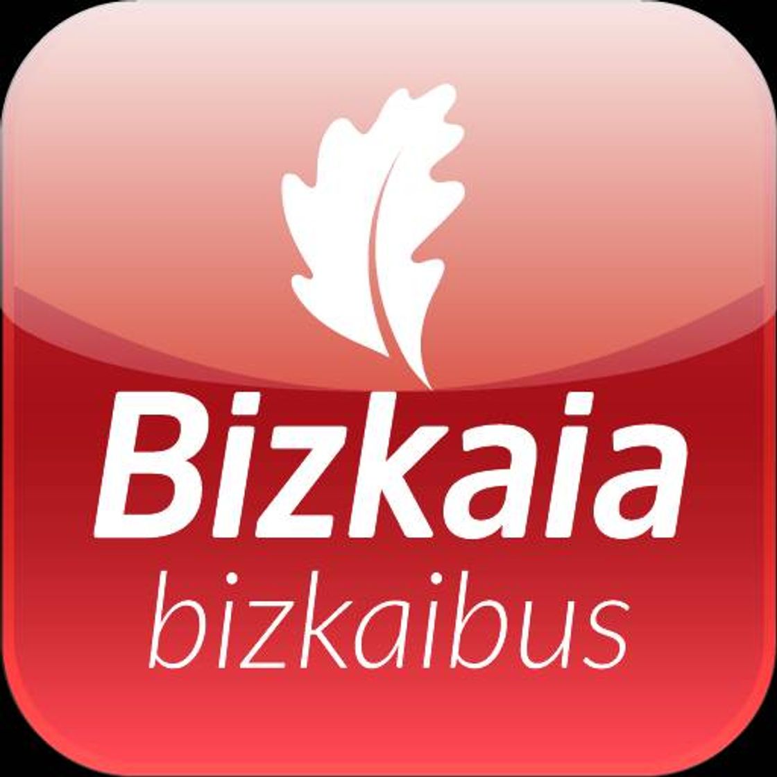 App Bizkaibus