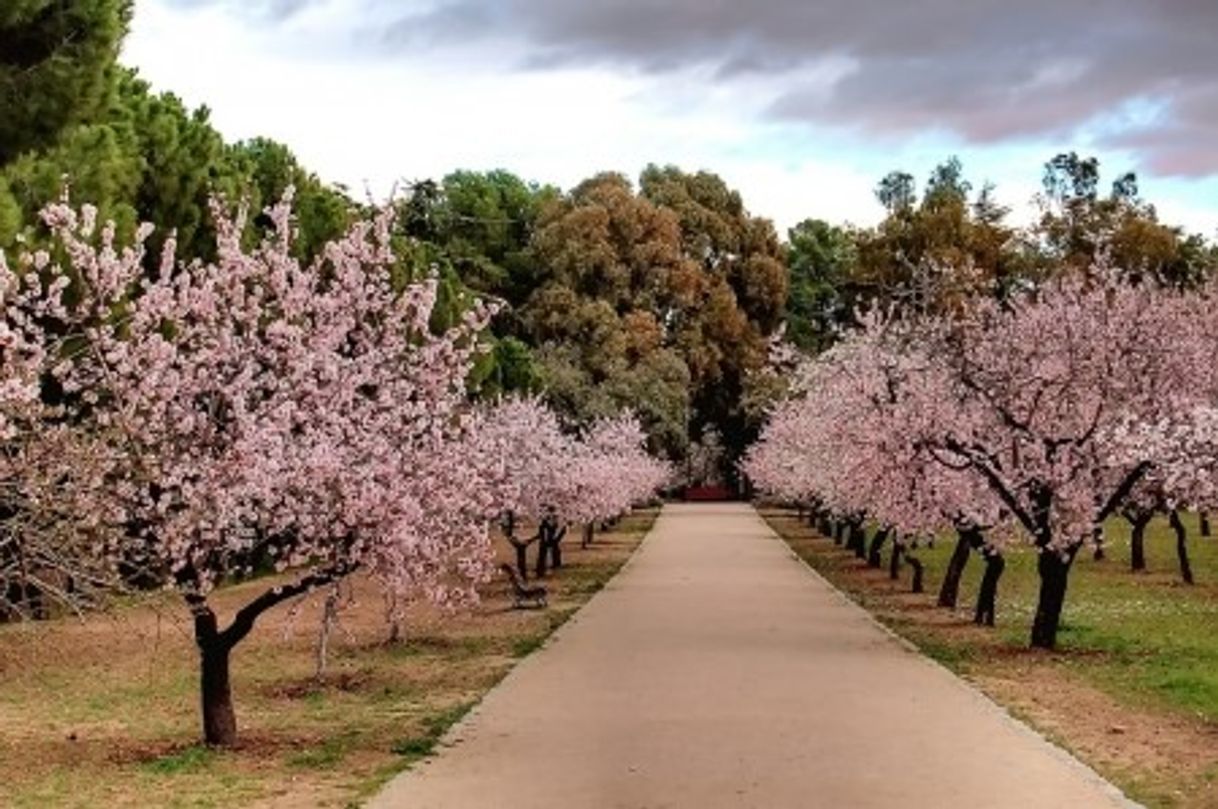 Place Parque de la Quinta de los Molinos