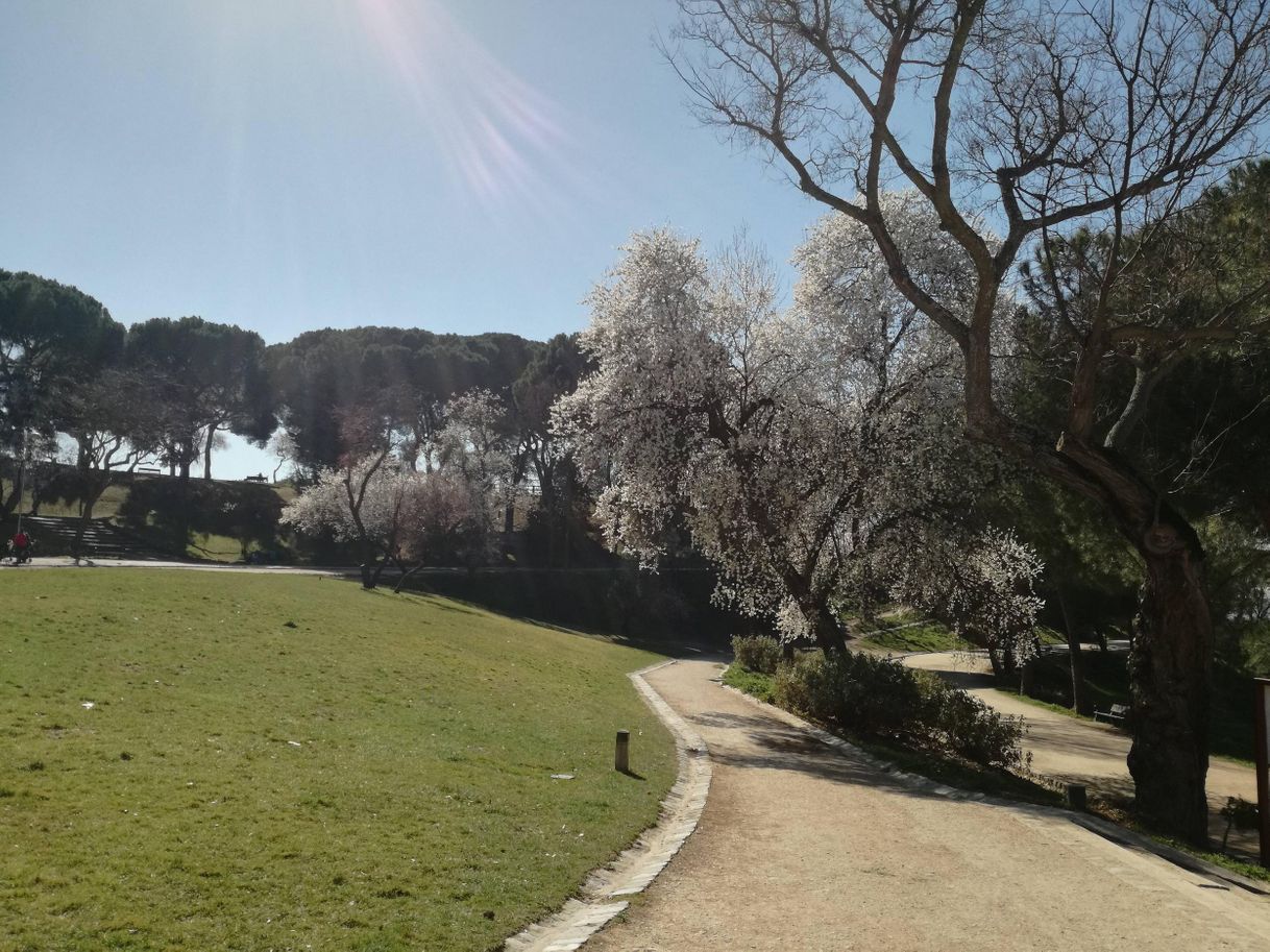 Place Dehesa de la Villa