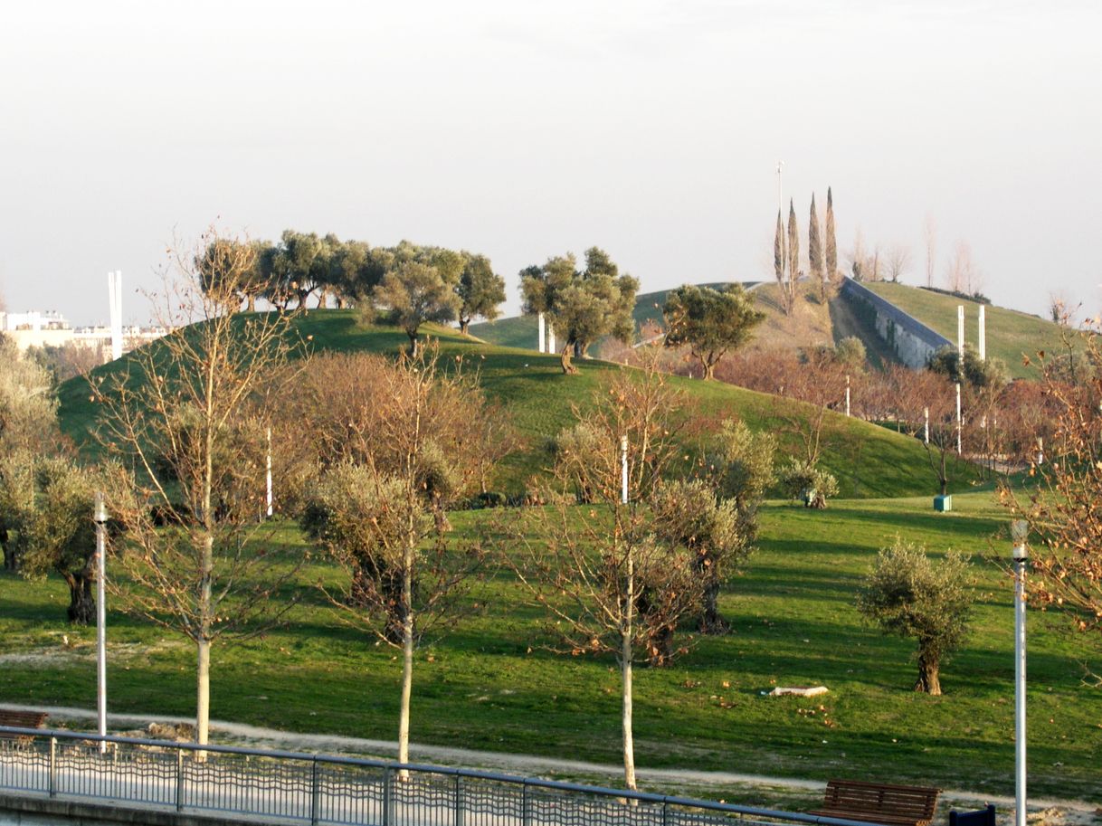 Place Parque Juan Carlos I