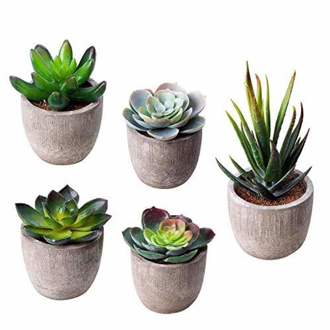 Social HB life 5 Piezas Plantas Suculentas Artificiales Plastico Maceta Decorativas