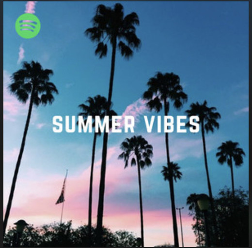 🌴 Summer Vibes