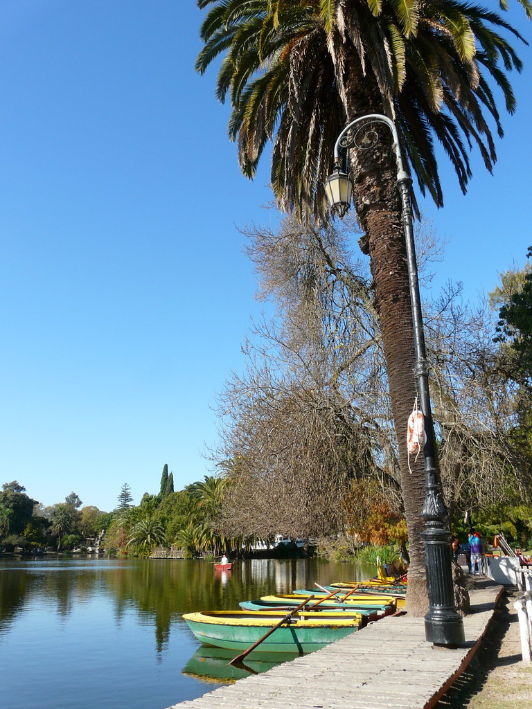 Place Paseo del Bosque