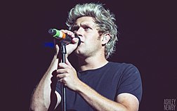 Fashion Niall Horan - Wikipedia