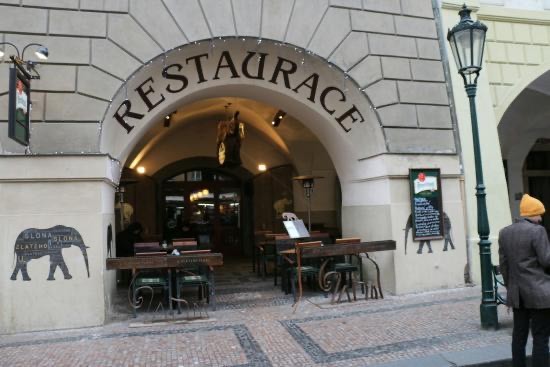 Restaurants U zlatého slona