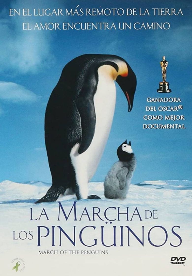 Película La marcha de los pingüinos