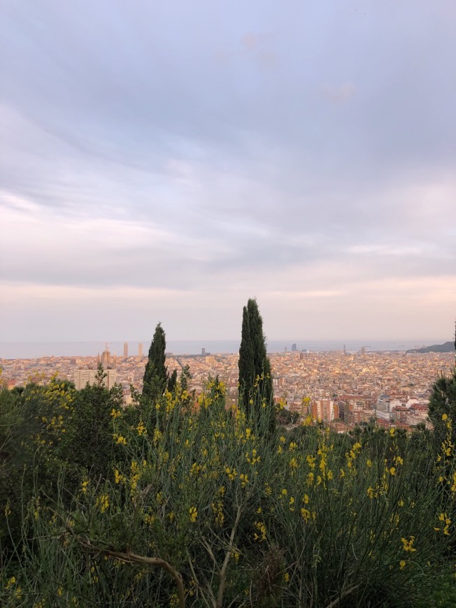 Place Mirador de Joan Sales: Mirador del Virolai