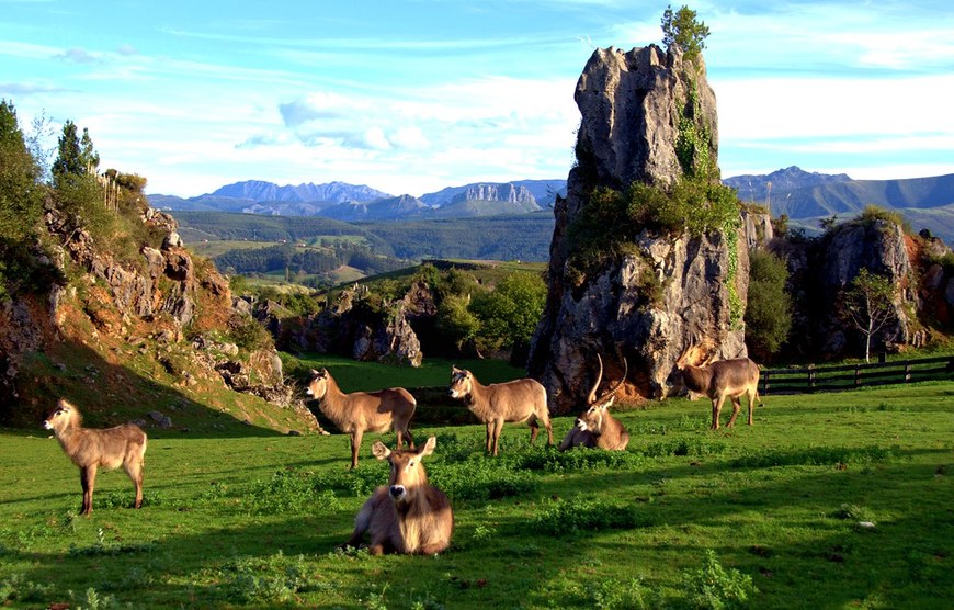 Lugar Parque de la Naturaleza de Cabárceno