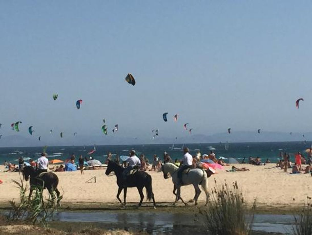 Lugar Playa de Valdevaqueros