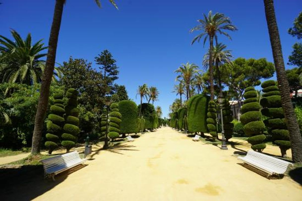 Lugar Parque Genoves