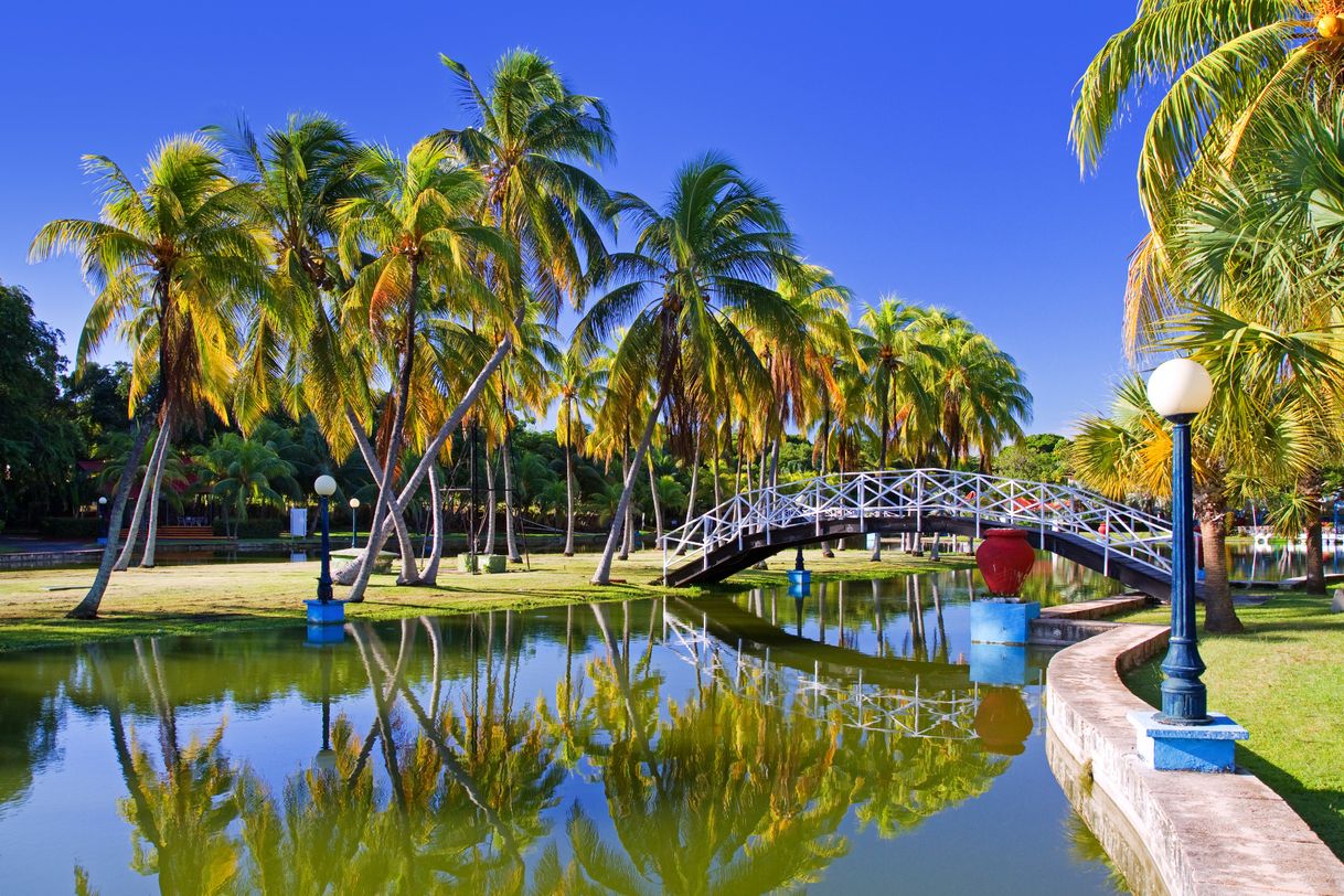 Lugar Parque Josone