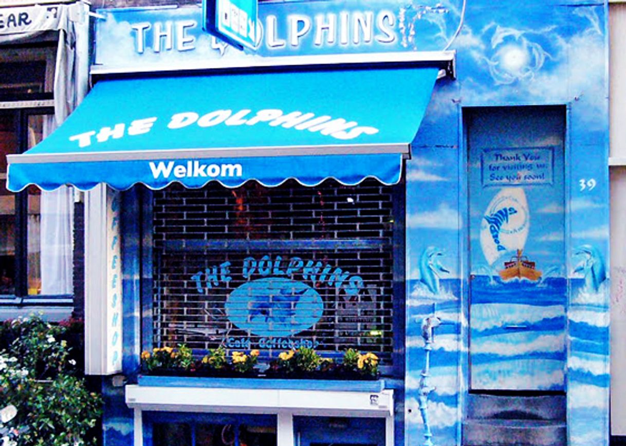 Lugar The Dolphins