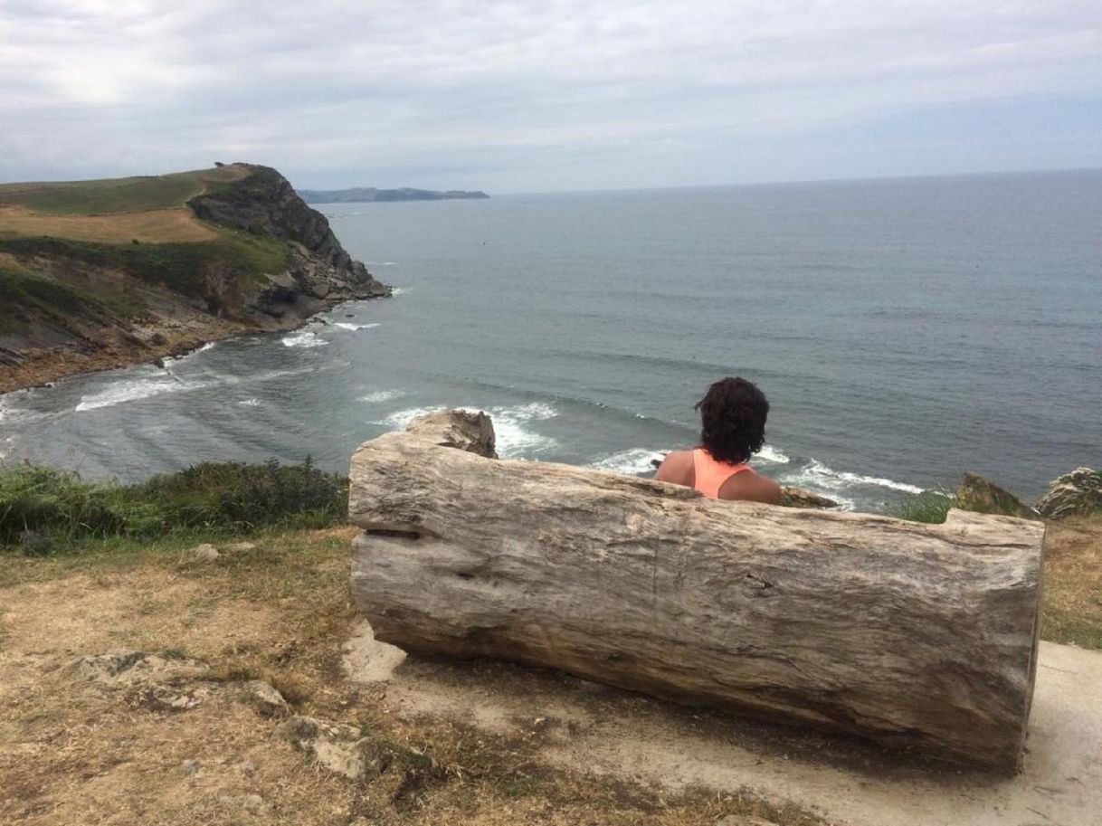 Restaurantes El Remedio