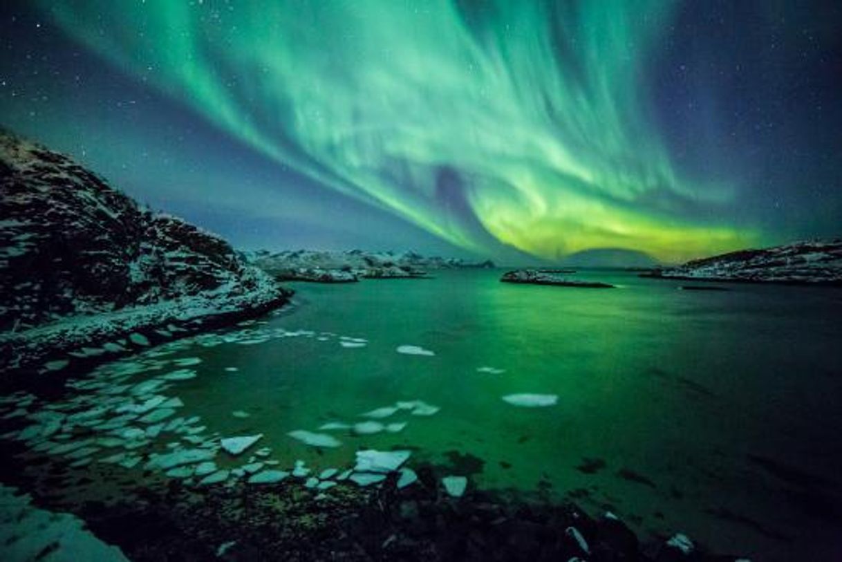 Lugar Tromsø Safari