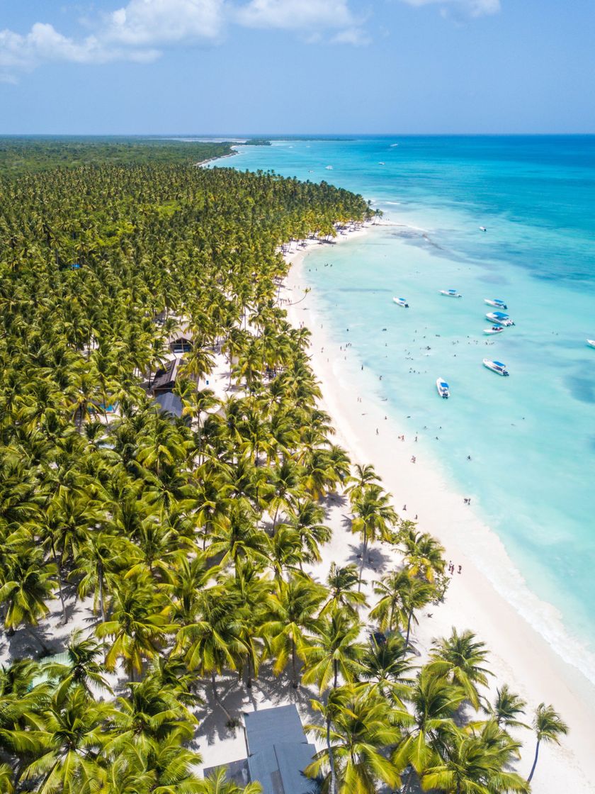 Lugar Isla Saona Bayahibe La Romana