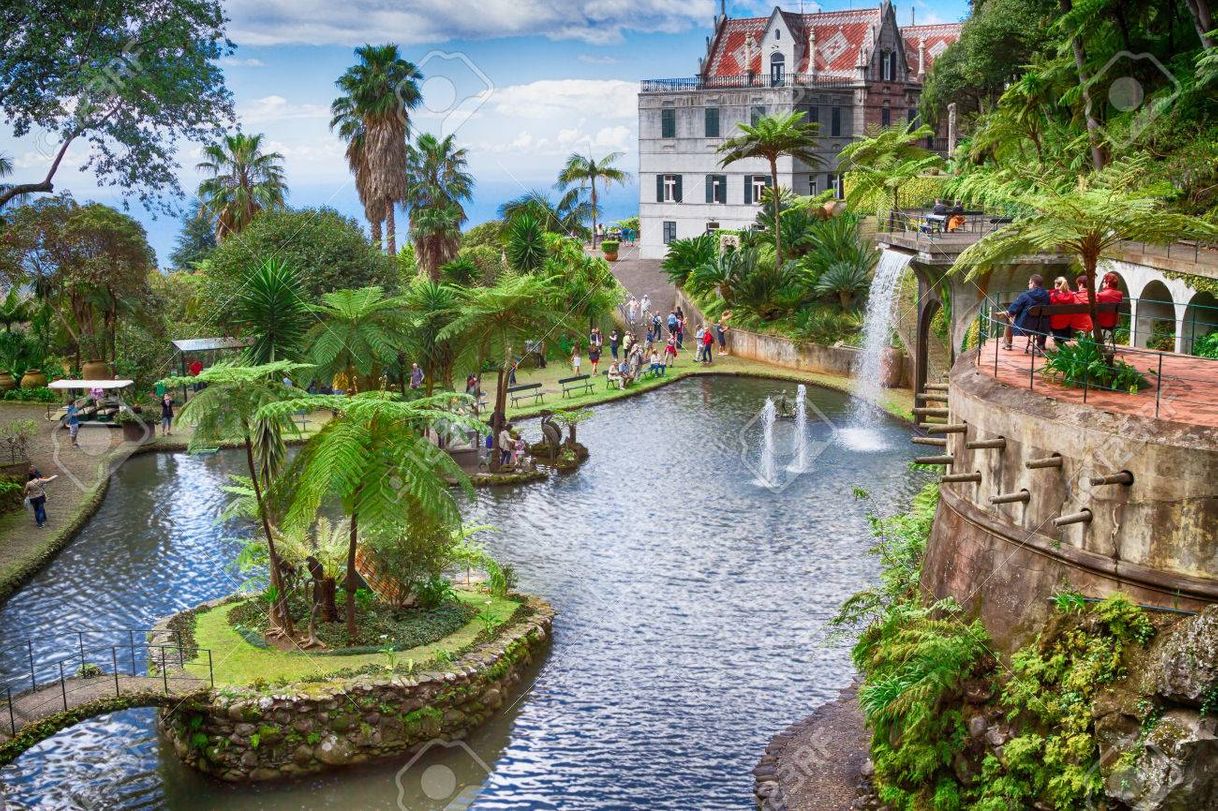 Lugar Jardim Tropical de Monte