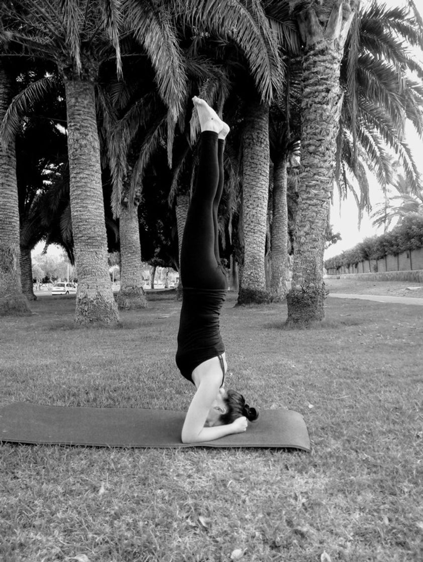 Social clase de yoga en streaming 