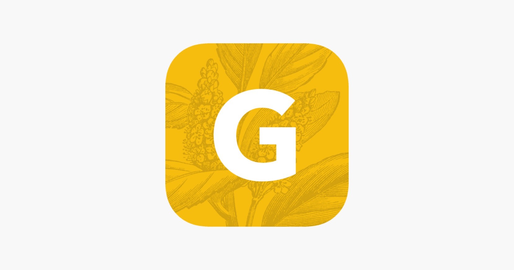 App Ginventory 