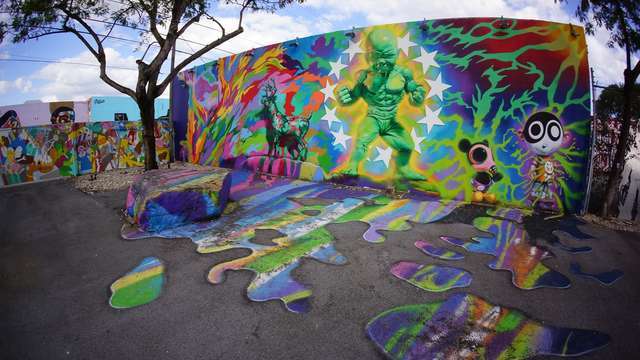 Place Wynwood Walls