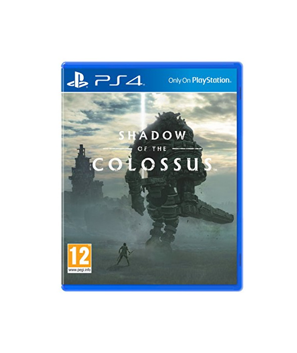 Social Shadow of the Colossus