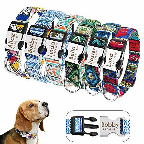 Producto Didog Collar para Perro Personalizado con Hebilla de liberación rápida grabada