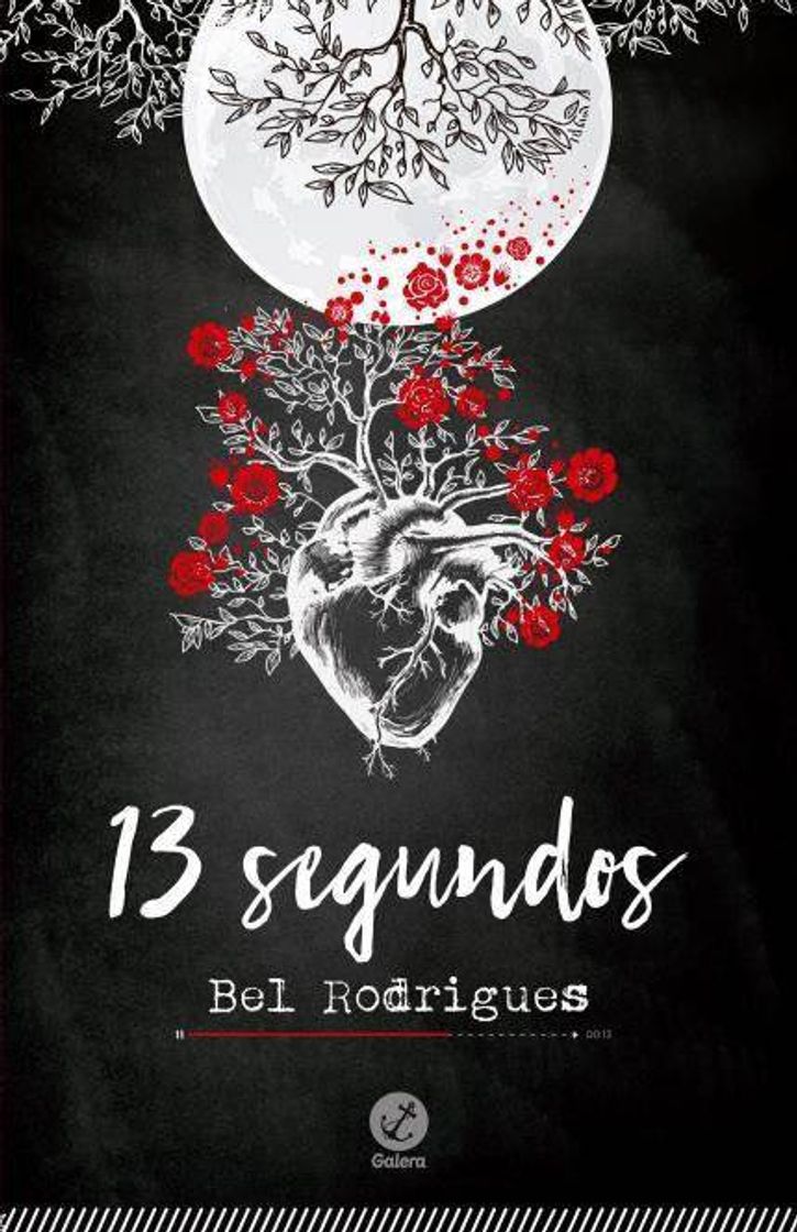 Libro 13 Segundos