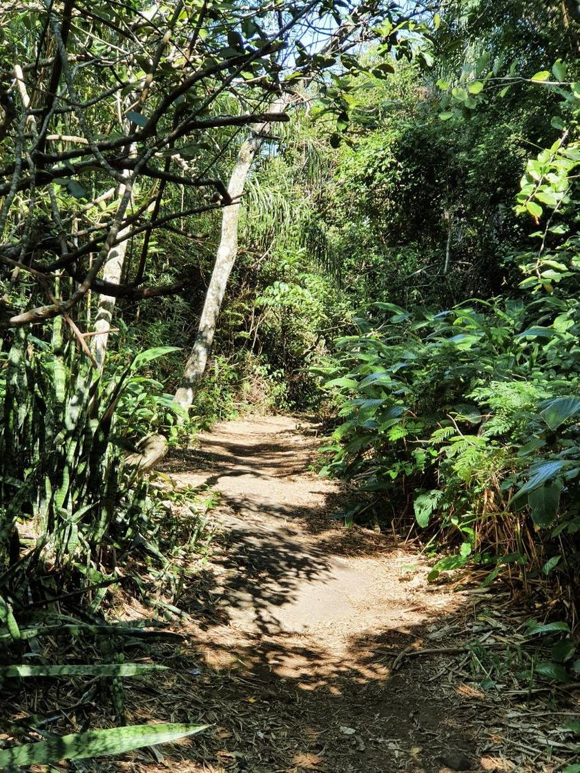 Lugares Trilha do Morro das Andorinhas