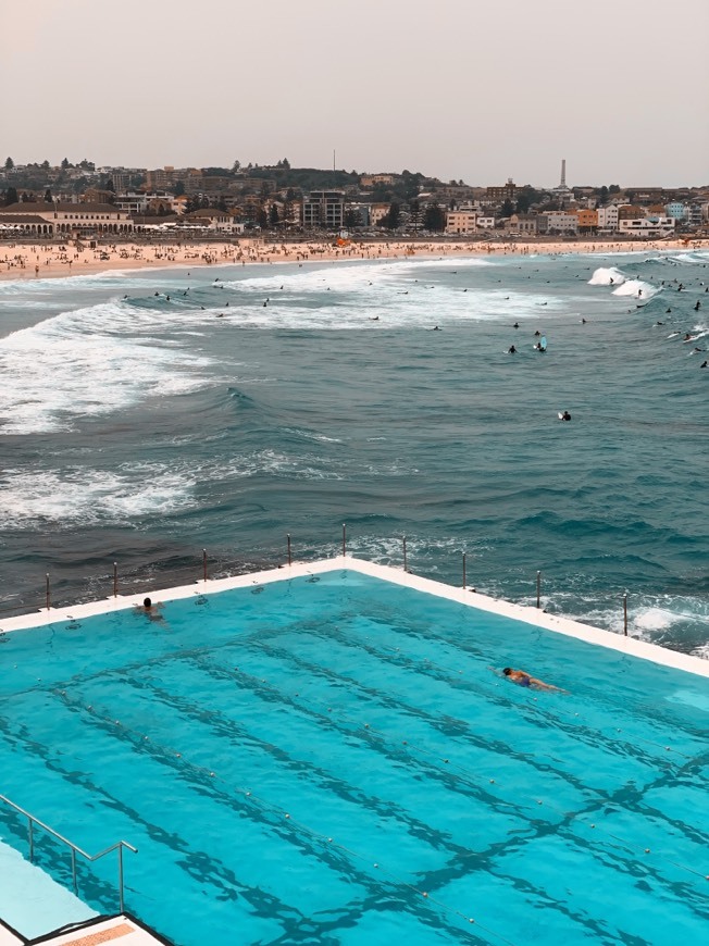 Place Bondi Beach