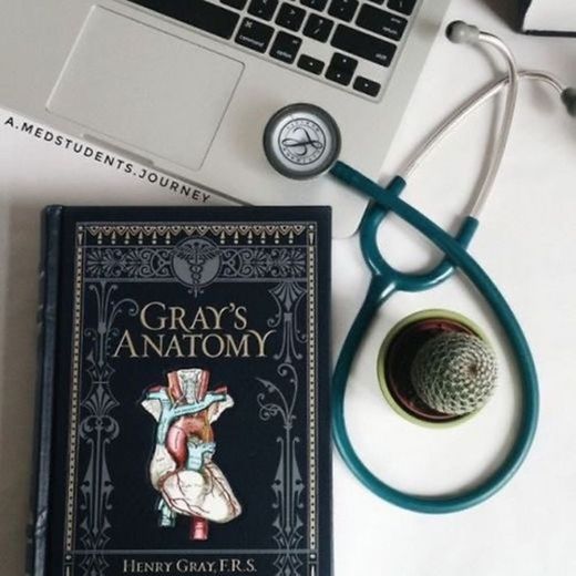 Gray’s anatomy 