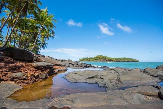 Guiana Francesa 🇬🇫 