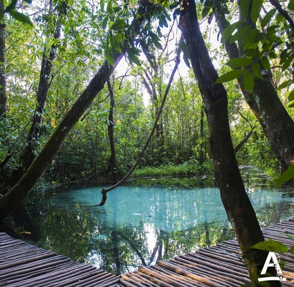 Hotel Fazenda Areia que Canta