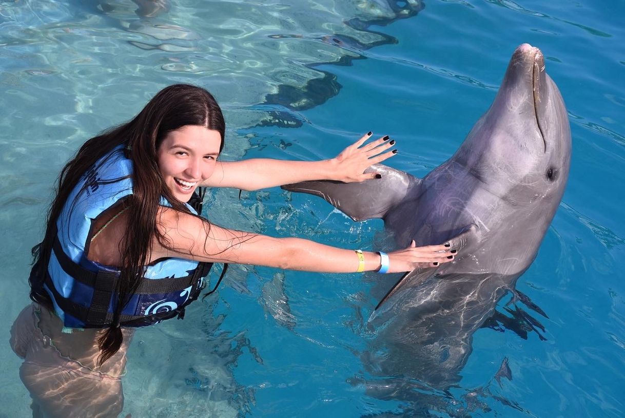 Lugar Dolphin Discovery Punta Cana