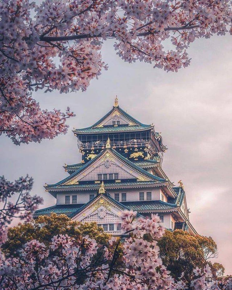 Moda Osaka Castle, Japan