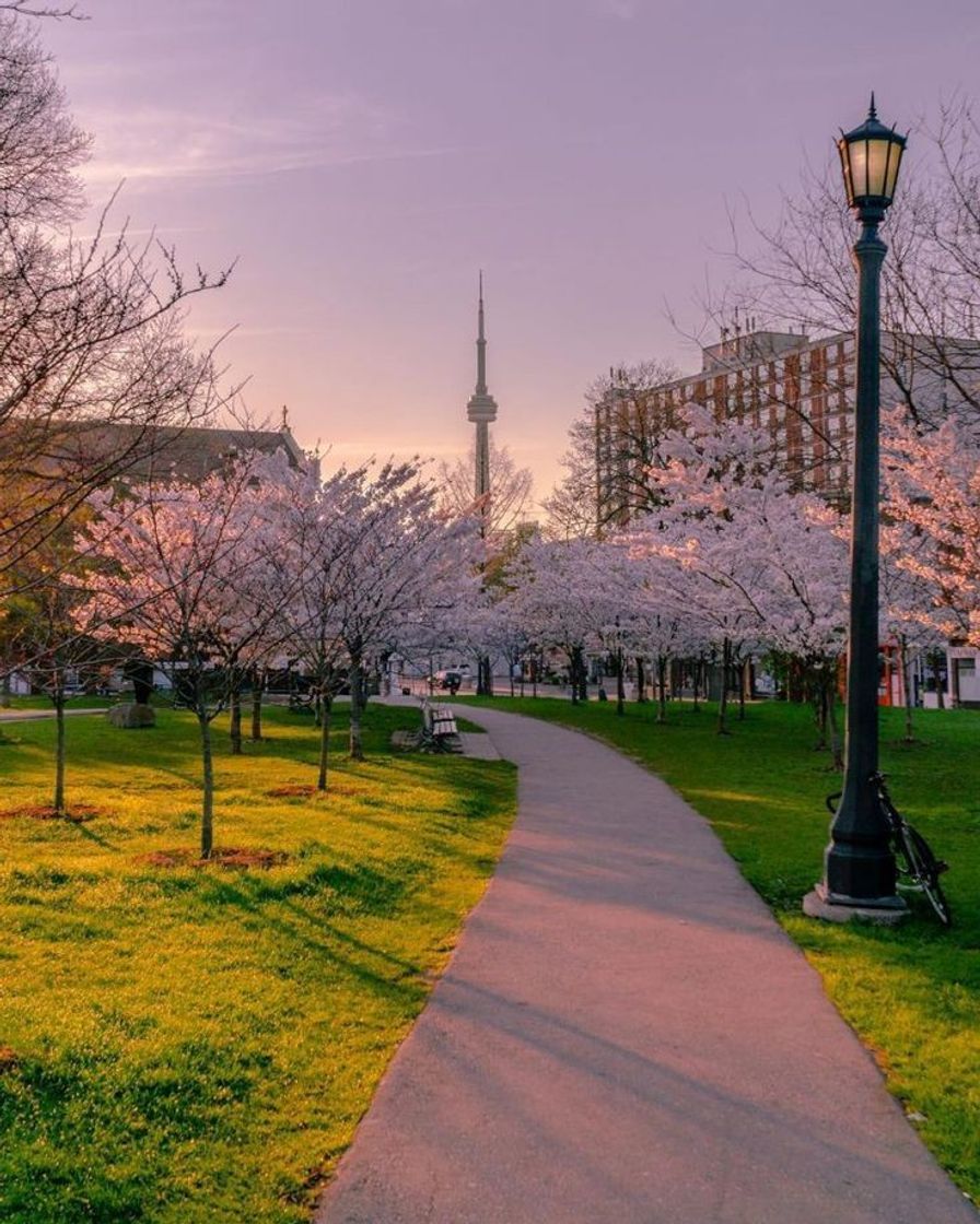 Lugares Uma parte do nosso querido Canadá 🍁 