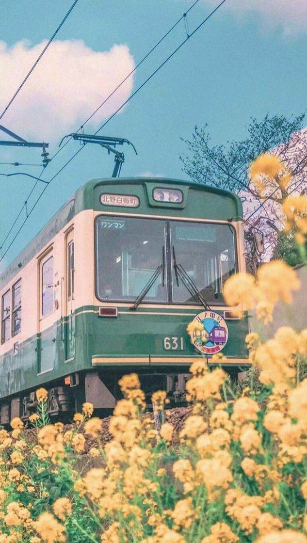 Moda Wallpaper trem🚉❤