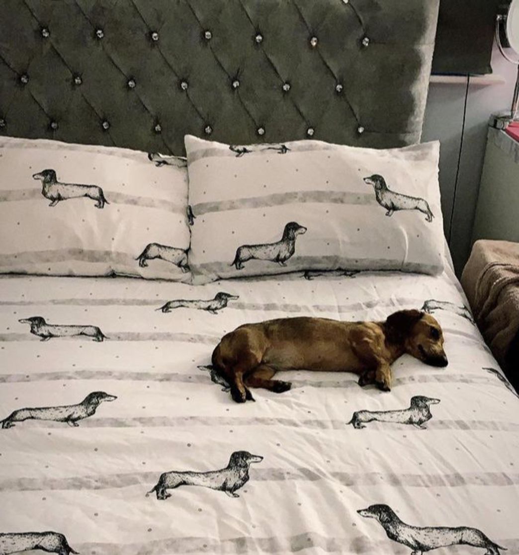 Social Sleep in Style