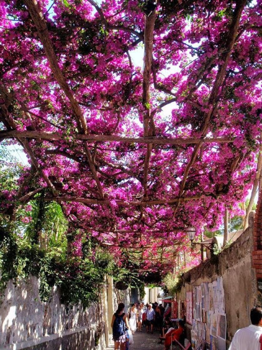 Fashion Via dei Mulini, Positano, Itália 🇮🇹 