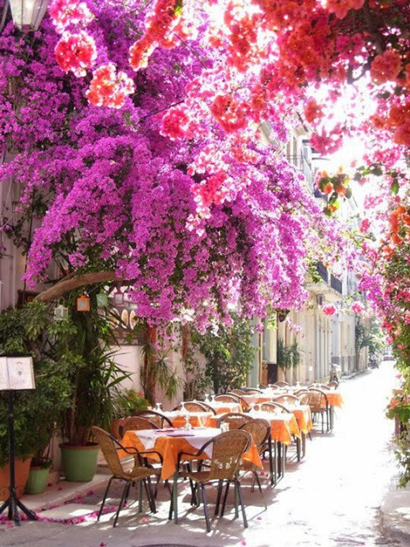 Moda Vasileos Alexandrou, Nafplio, Grécia 🇬🇷 